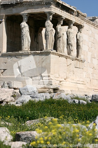 Image of spring flowers at erachtheum