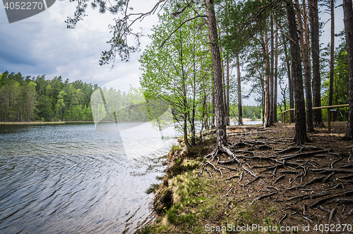 Image of Spring landscape in the forest lake