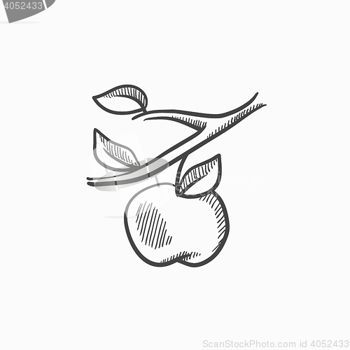 Image of Apple harvest sketch icon.