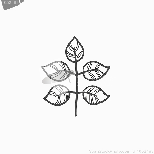 Image of Branch with leaves sketch icon.