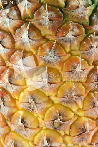 Image of texture ananas