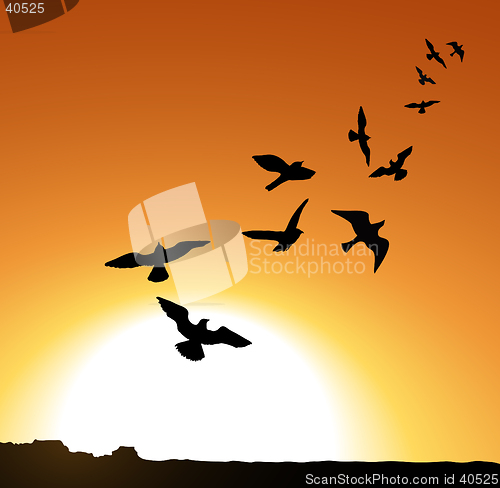 Image of Birds at Sunrise