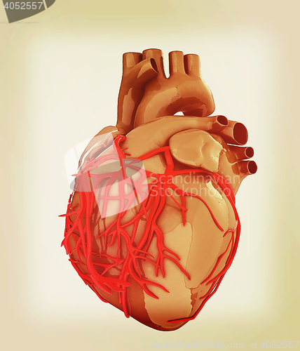 Image of Human heart. 3D illustration. Vintage style.