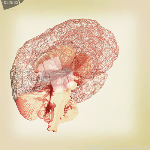 Image of Creative concept of the human brain. 3D illustration. Vintage st