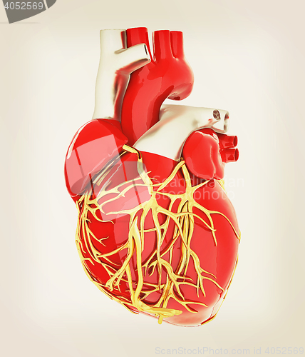 Image of Human heart. 3D illustration. Vintage style.