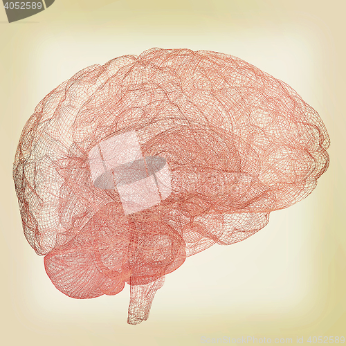 Image of Creative concept of the human brain. 3D illustration. Vintage st