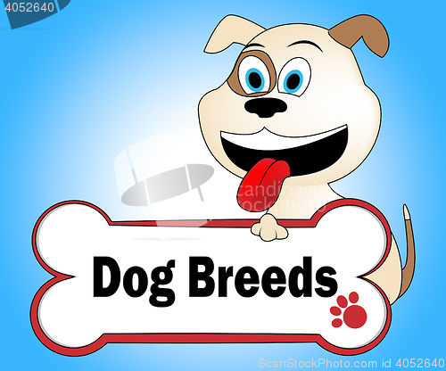 Image of Dog Breeds Shows Purebred Pets And Pet