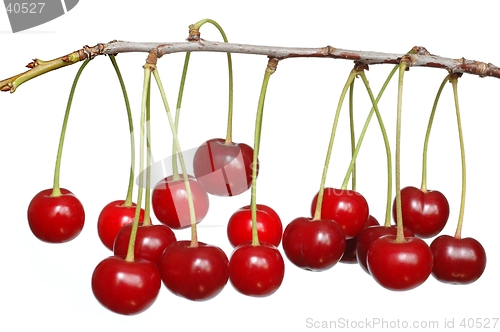 Image of Cherries