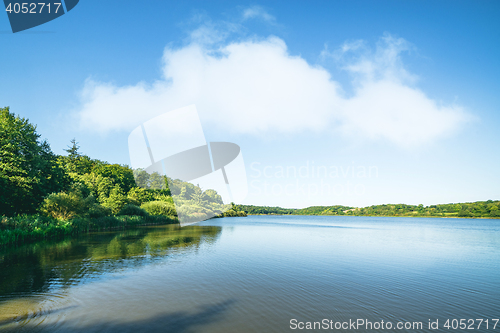 Image of Lake scenery with green trees