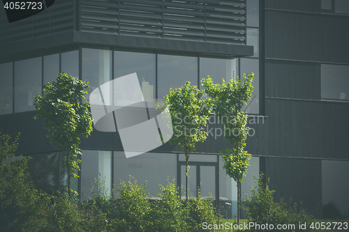 Image of Green trees in front of an office