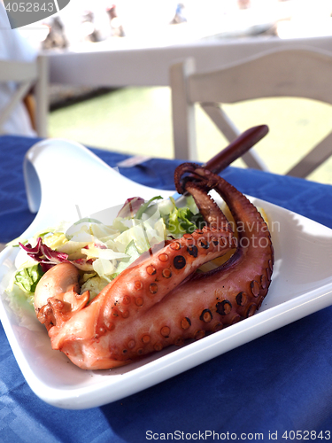 Image of grilled octopus as seen in Greek Island Sifnos taverna 