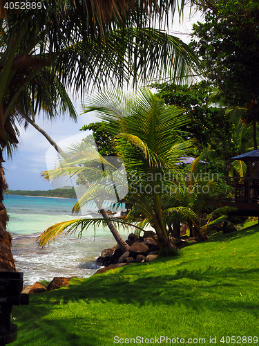 Image of tropics scene of Long Bay harbor beach  tropical trees Big Corn 