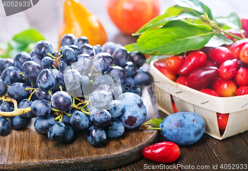 Image of autumn harvest