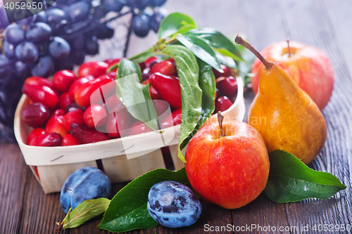 Image of autumn harvest