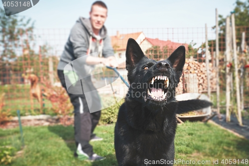 Image of Aggressive dog is barking