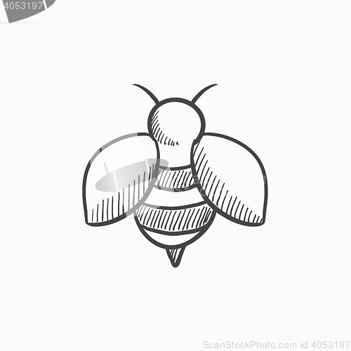 Image of Bee sketch icon.