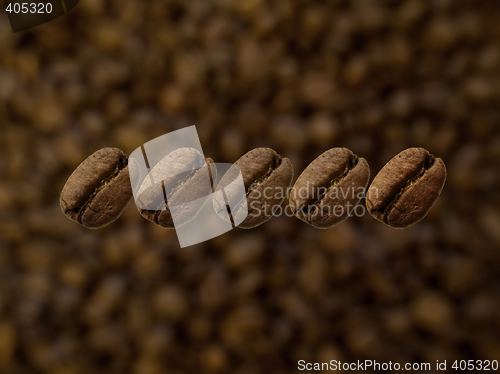 Image of Five coffee beans in line