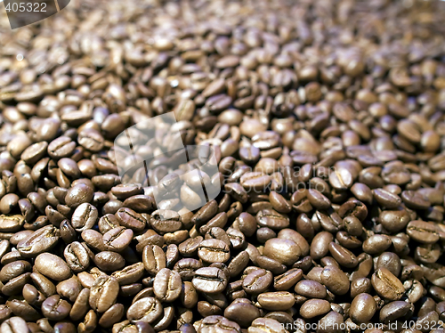 Image of Coffee beans