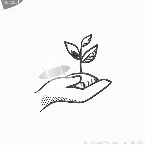 Image of Hands holding seedling in soil sketch icon.