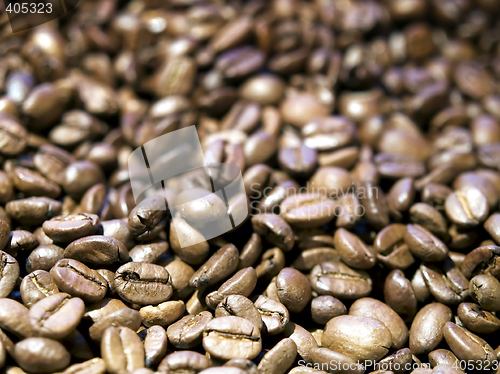 Image of Coffee beans