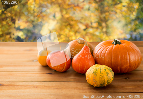 Image of close up of pumpkins on wooden table outdoors