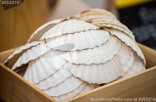 Image of close up of seashells in wooden box