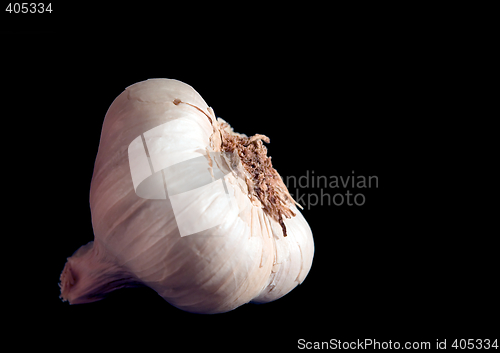 Image of Garlic