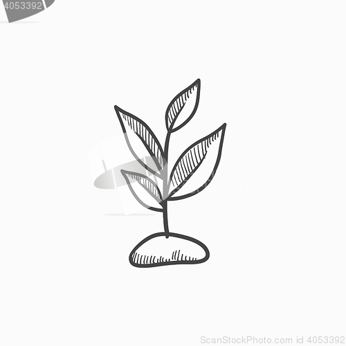 Image of Sprout sketch icon.