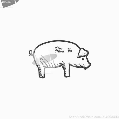 Image of Pig sketch icon.