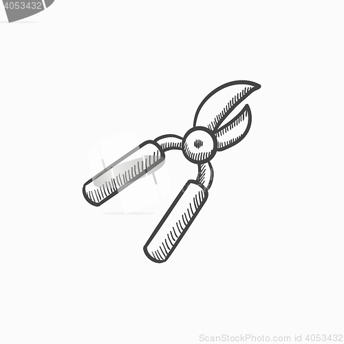 Image of Pruner sketch icon.