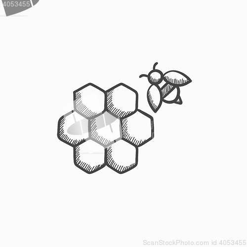 Image of Honeycomb and bee sketch icon.