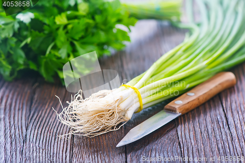 Image of parsley and onion