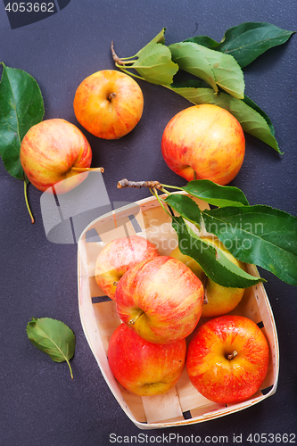 Image of apples