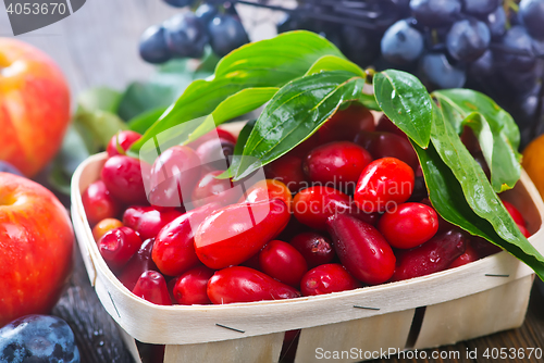 Image of autumn harvest