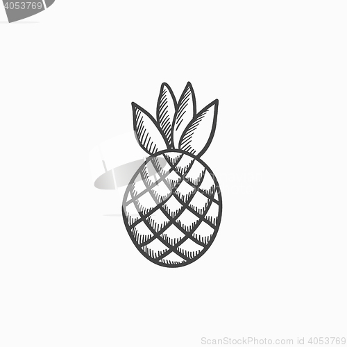 Image of Pineapple sketch icon.