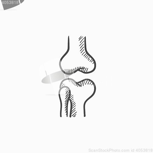 Image of Knee joint sketch icon.