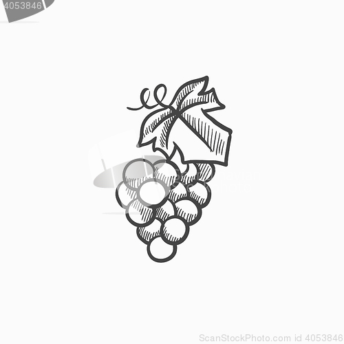 Image of Grape sketch icon.