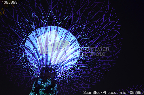 Image of Supertree Grove, Gardens by the Bay in Singapore