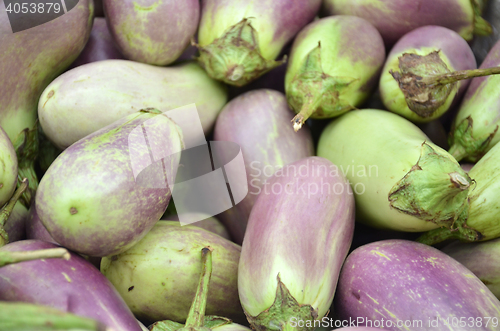 Image of Raw ripe Eggplant