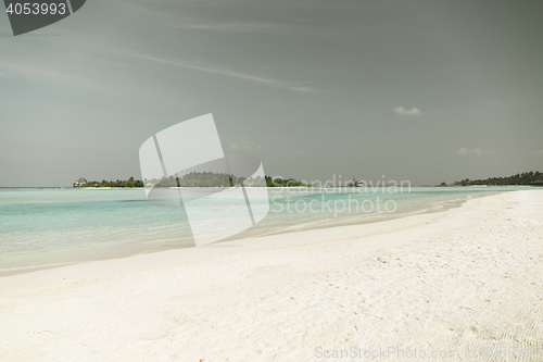 Image of maldives island beach with palm tree and villa