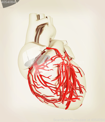 Image of Human heart. 3D illustration. Vintage style.