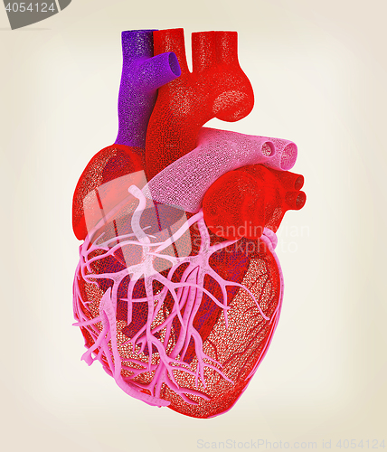 Image of Human heart. 3D illustration. Vintage style.