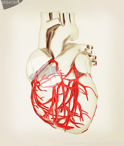 Image of Human heart. 3D illustration. Vintage style.