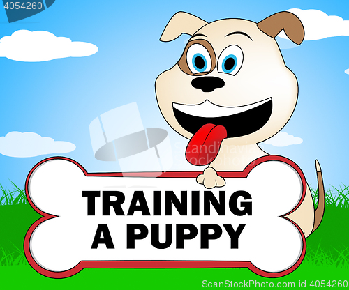 Image of Training A Puppy Represents Trainer Instruction And Coach