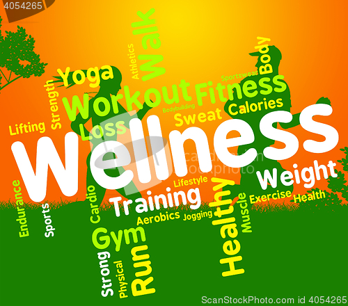 Image of Wellness Words Indicates Health Check And Care