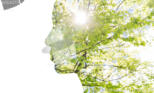 Image of double exposure woman profile with tree foliage
