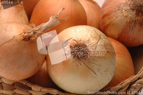 Image of yellow onions 2