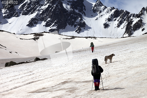 Image of Two hikers with dog at spring snowy mountains in sun day