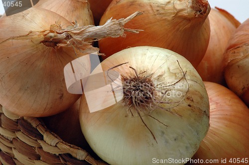 Image of yellow onions 2