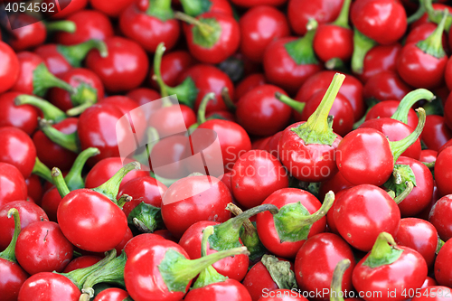 Image of red chili food ingredient